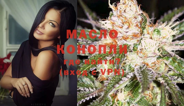 индика Богданович