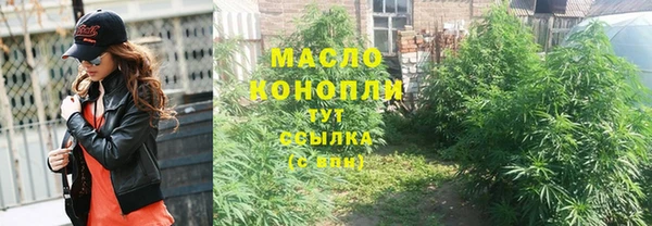 индика Богданович
