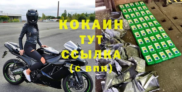 индика Богданович