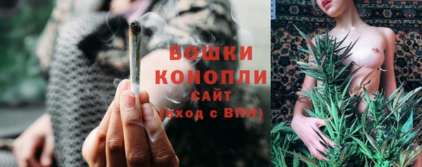 индика Богданович