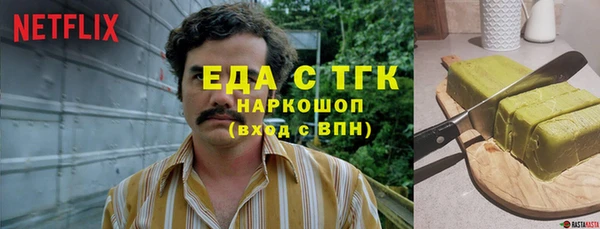 индика Богданович